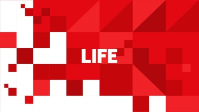 В Новой Москве у многоэтажки найдены тела супругов, выпавших из окна