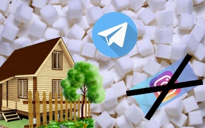 Телеграм Томска за неделю: огородничество, прощание с Инстаграм, сахара хватит всем