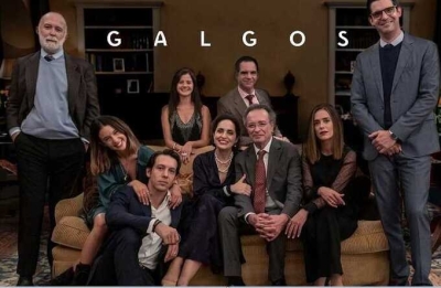 Российские стриминговые сервисы были оштрафованы за сериал "Галгос" по статье о пропаганде ЛГБТ